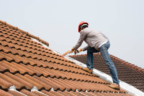 Trusted Berwick, LA Roofing services Experts